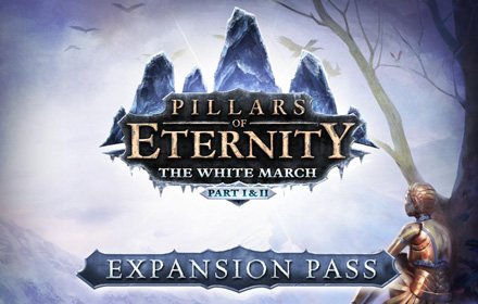 Pillars of Eternity: Expansion Pass game boxshot cover